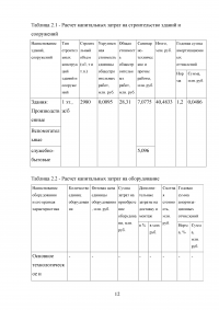 Оценка экономической эффективности создания цеха по производству ПВХ пленки пищевого назначения Образец 34701