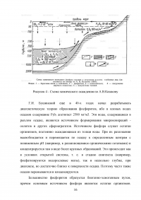 Механизм фосфоритонакопления в осадочных бассейнах в различной геодинамической обстановке Образец 47227