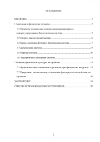 Анатомия и физиология человека, влияние физической культуры на его организм Образец 57454