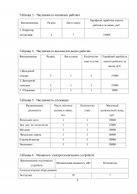 Оценка экономической эффективности создания цеха по производству плинтусов из ПВХ Образец 5932