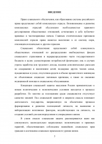 Социальное обеспечение в Российской Федерации: понятие, функции, принципы Образец 94499