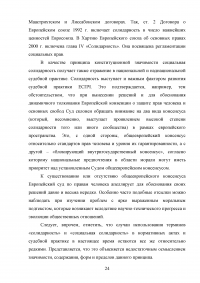 Принцип социальной солидарности в конституционном праве Российской Федерации Образец 124550
