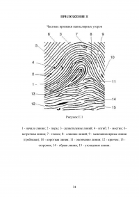 Следы пальцев рук, их поиск, обнаружение, фиксация, изъятие на месте происшествия Образец 129082