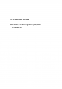 Организация бухгалтерского учета на предприятии ООО «ДНС Ритейл» Образец 135003