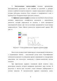 Высокоэффективная жидкостная хроматография (ВЭЖХ) в фармацевтическом анализе Образец 138081