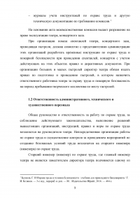 Охрана труда и техника безопасности в театре Образец 139450